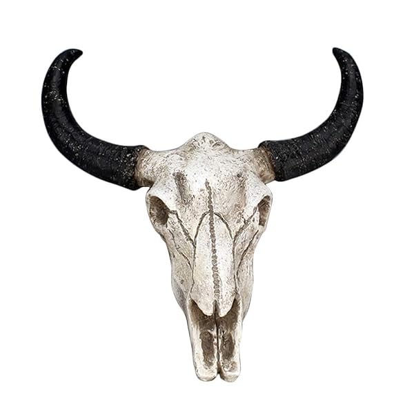 CALIDAKA Realistic Bull Head Skull Wall Art | 3D Cow Skull Plaque for Home Decor | Unique Animal Head Sculpture