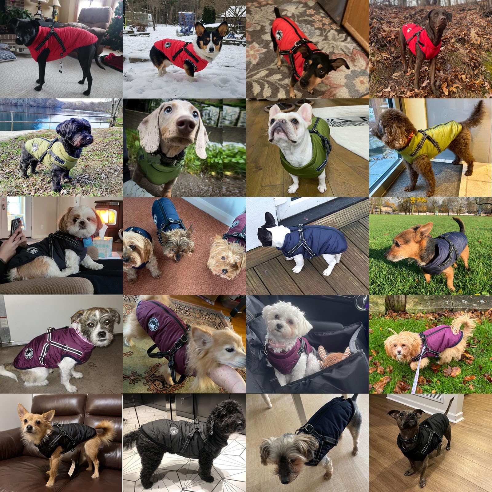 Gyuzh Gyuzh Dog Coat with Harness Puppy Coats Small Dog Harness Jacket Winter Waterproof Jackets for Smal Medium Large Dogs - View 4 of 9