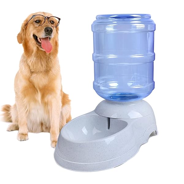 TENINYU 3 Gallon Pet Water Dispenser Station - Automatic Gravity Waterer for Large Dogs & Cats