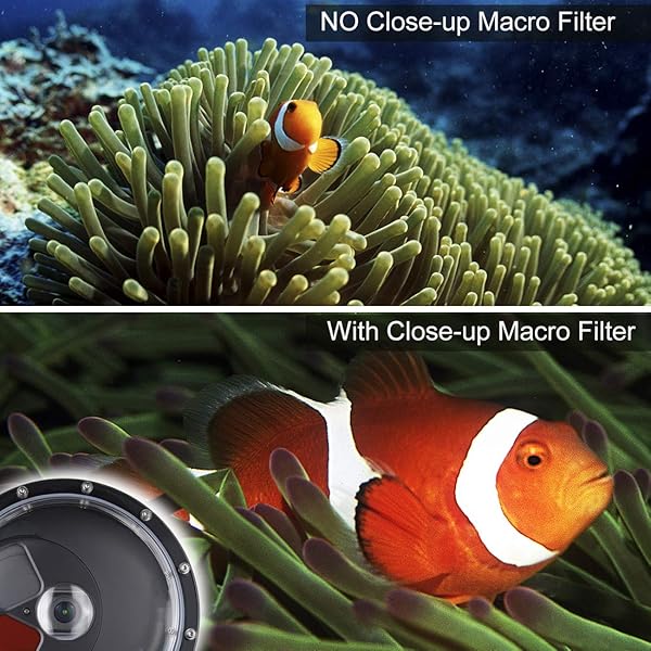 SOONSUN SOONSUN Dome Port for GoPro Hero 8: 147ft Waterproof Housing with Red Filter & Macro Lens for Stunning Underwater Photography - View 8 of 11