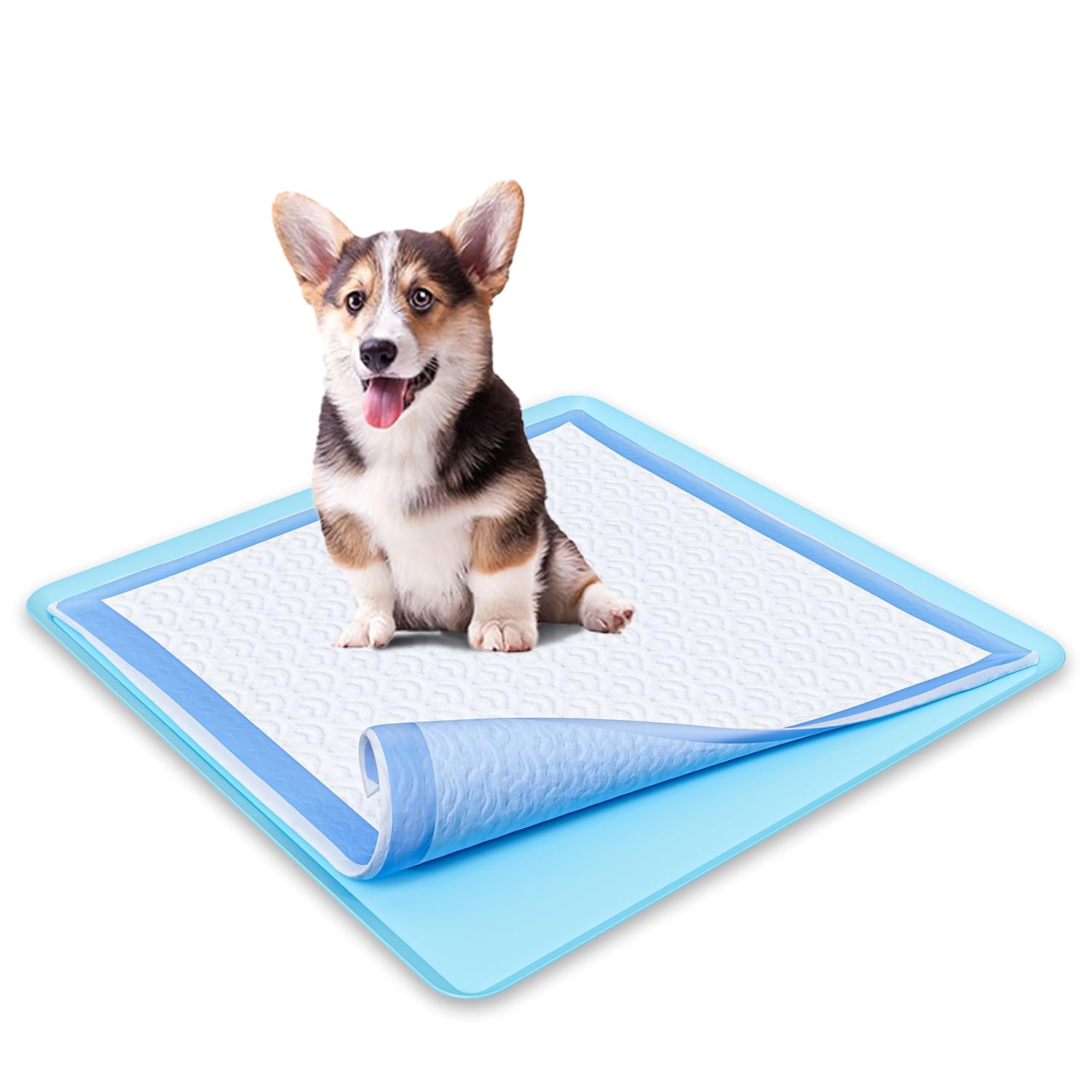 Skywin TidyFriend Dog Puppy Pad Holder Tray for 24x24 Inches Training Pads Easy to Clean No Spill Pee Pad Holder for Dogs Sky Blue