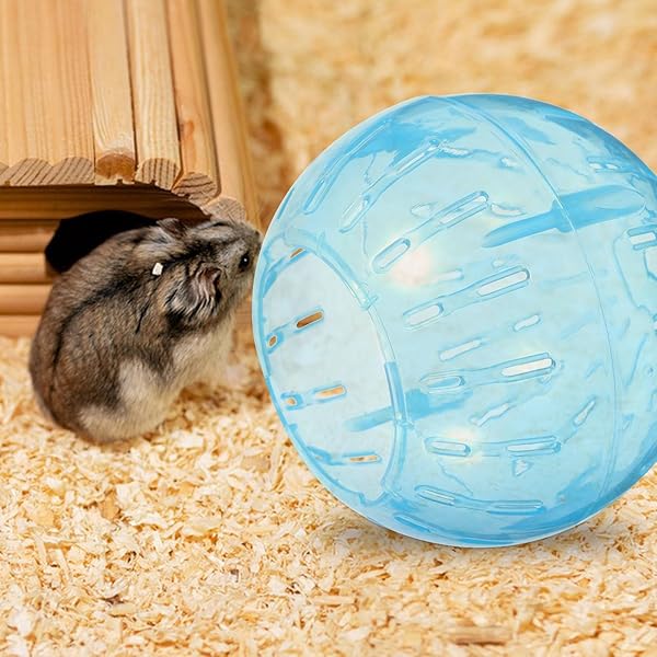 POPETPOP POPETPOP Hamster Exercise Ball Set of 3 Plastic 3.54inch Running Toys for Small Animals to Reduce Boredom and Increase Activity - View 9 of 10