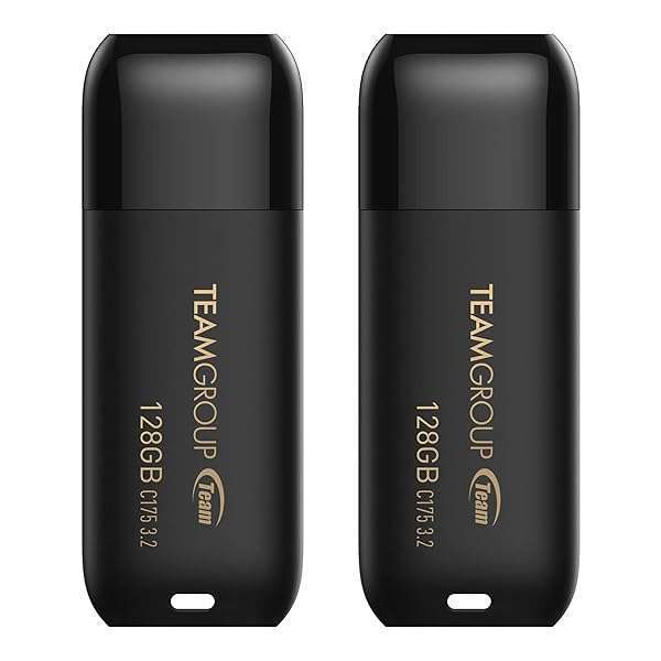 TEAMGROUP C175 128GB USB 3.2 Gen 1 Flash Drive - Fast 100MB/s Data Storage for Computers & Laptops
