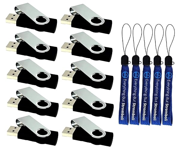 Everything But Stromboli 16GB Flash Drives 10-Pack - Black Swivel USB 2.0 Bundle with 5 Lanyards | Perfect for Storage & Organization