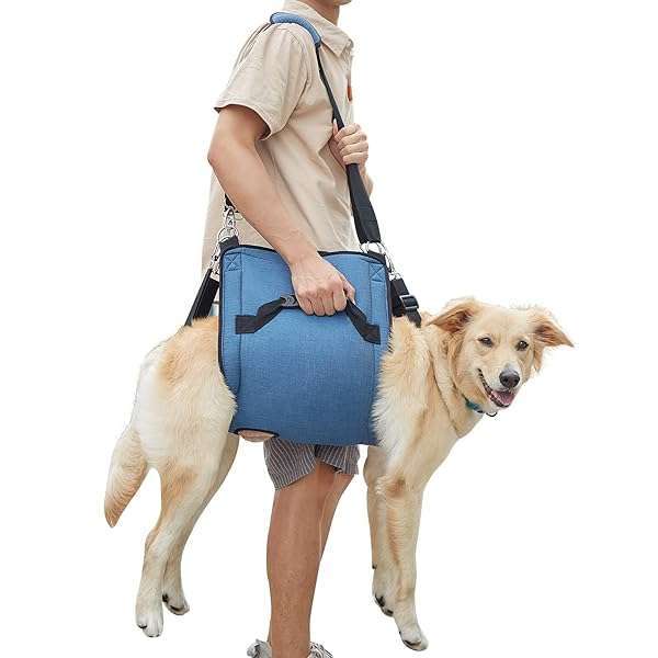Coodeo COODEO Dog Carry Sling: Supportive Pet Lift Harness for Senior Dogs & Joint Injuries - Ideal for Nail Trimming & Stairs (2XL, Blue)