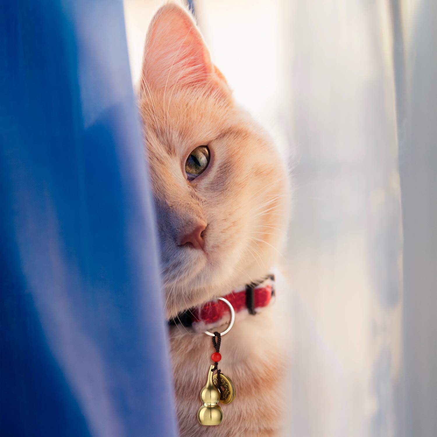 Chinese Coins Feng Shui Brass Wu Lou Health Amulet Keychain Lucky Charms Red String 2025 for Good Luck Fortune Wealth Success - View 6 of 7