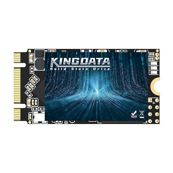 KINGDATA Kingdata 256GB M.2 SATA III SSD - High-Speed 580MB/s Read, 547MB/s Write, 20-Year Warranty for Desktops & Laptops
