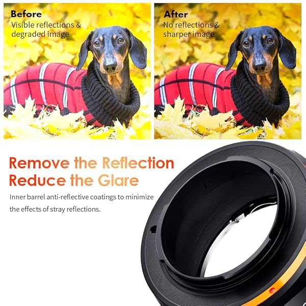 K&F CONCEPT KF Concept Lens Mount Adapter for Nikon AI F Mount Lens to Fujifilm X Series Mirrorless Camera Compatible with Fuji XT2 XT20 XE3 XT1 X-T2 - View 6 of 9