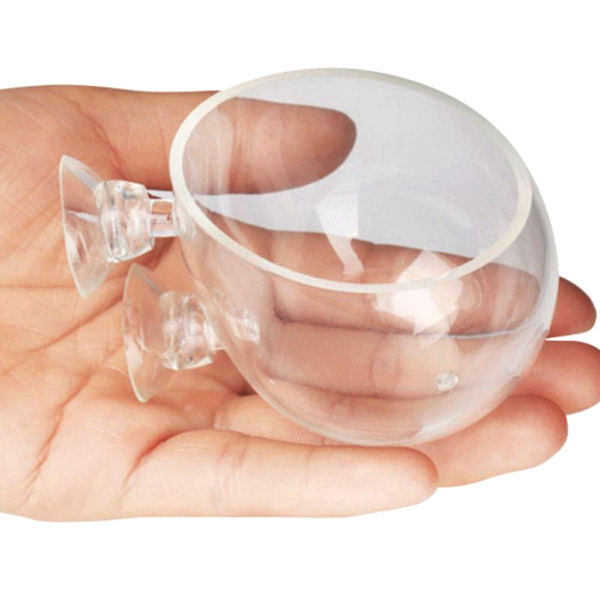 DGZZI DGZZI Crystal Glass Aquatic Plant Pot with Suction Cups - Perfect Aquarium Decoration for Fish Tanks - View 2 of 5