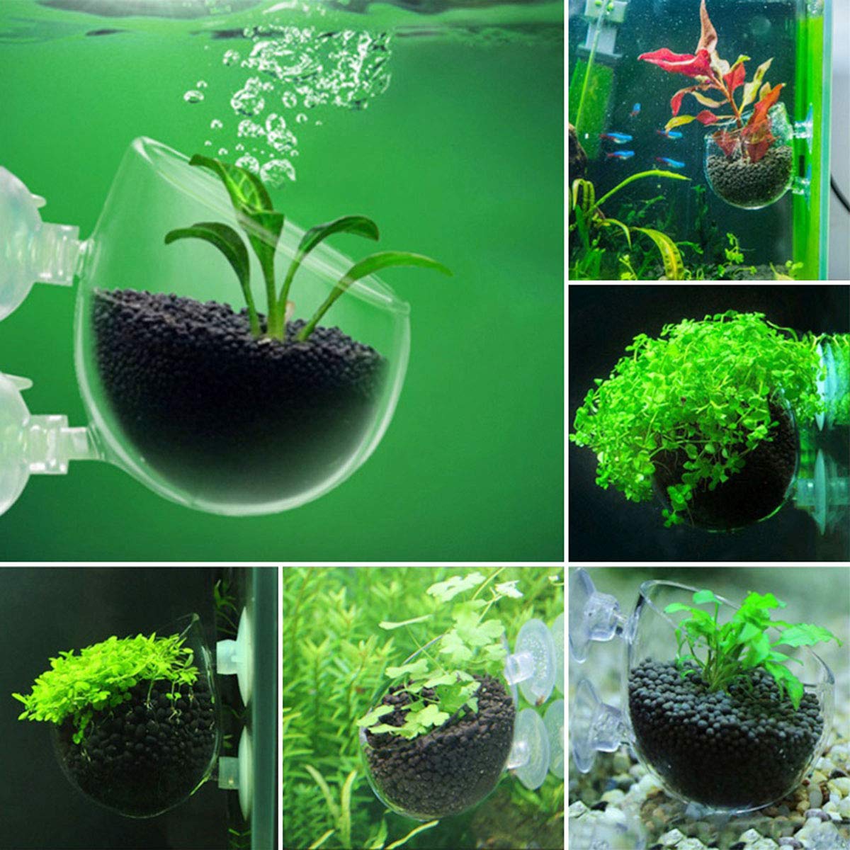 DGZZI DGZZI Crystal Glass Aquatic Plant Pot with Suction Cups - Perfect Aquarium Decoration for Fish Tanks - View 5 of 5