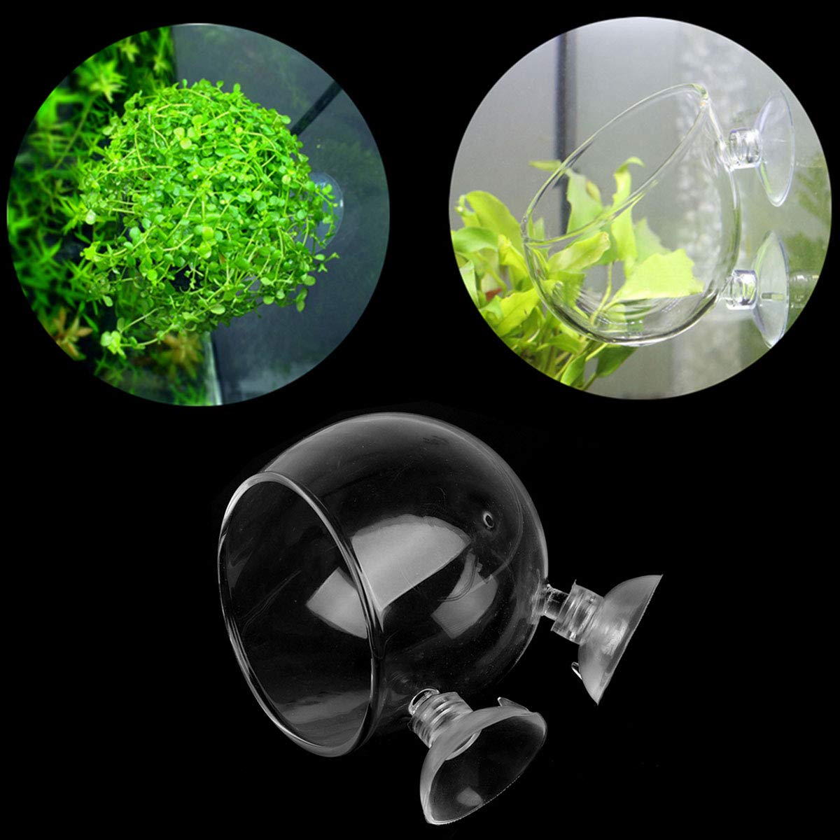 DGZZI Crystal Glass Aquatic Plant Pot with Suction Cups - Perfect Aquarium Decoration for Fish Tanks
