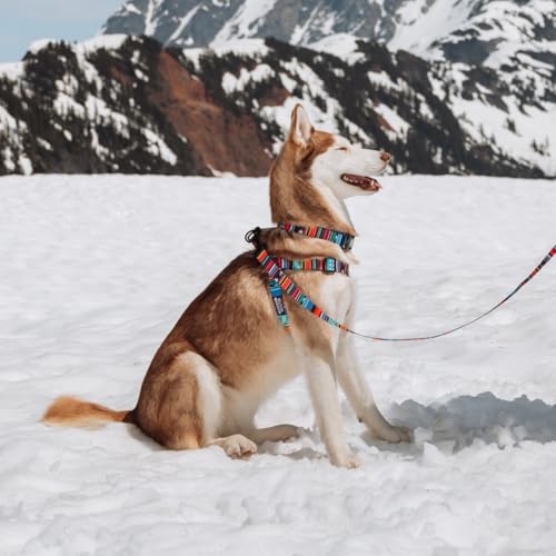 Wolfgang Man & Beast Wolfgang Heavy Duty Adjustable Dog Harness Quetzal Print Large Pull Tested Over 800 lbs for Walking and Training - View 4 of 10