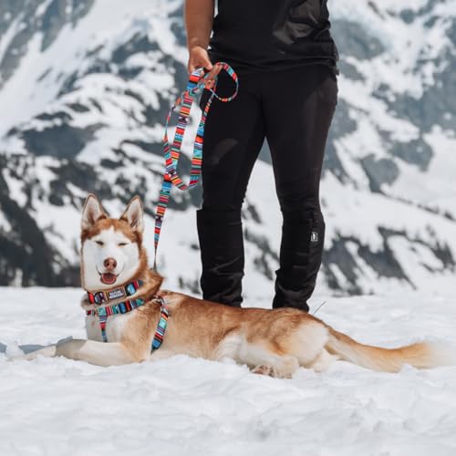 Wolfgang Man & Beast Wolfgang Heavy Duty Adjustable Dog Harness Quetzal Print Large Pull Tested Over 800 lbs for Walking and Training - View 5 of 10