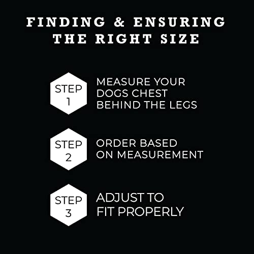 Wolfgang Man & Beast Wolfgang Heavy Duty Adjustable Dog Harness Quetzal Print Large Pull Tested Over 800 lbs for Walking and Training - View 7 of 10