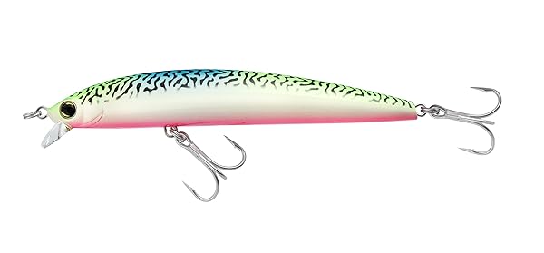 Duel Yo-Zuri R1323-WM Hydro Minnow LC 170mm Wacky Mackerel - Top Fishing Lure for Anglers