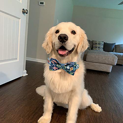 Elegant little tail Elegant Bowtie Dog Collar for Small Medium Large Dogs Soft Comfy Adjustable Pet Gift - View 5 of 8