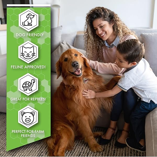 No Scent Pro deSTINKed deSTINKed Pet Odor Eliminator Spray and Play Triple Action Formula Safe for Fabrics Upholstery Carpets and Fur 24oz Made in USA - View 4 of 6