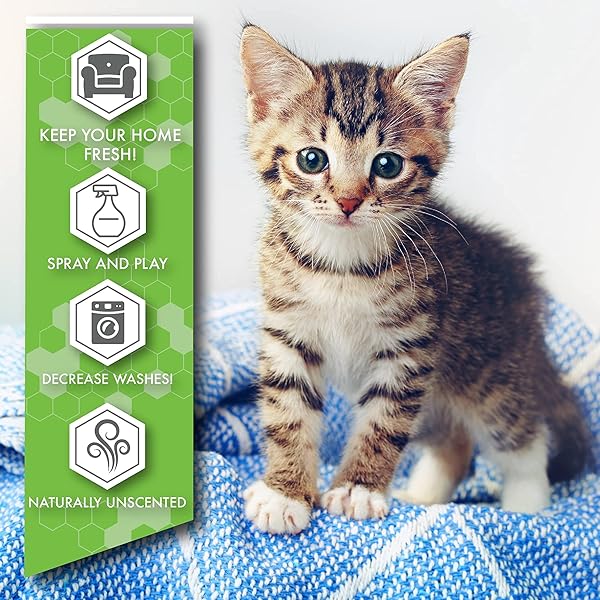 No Scent Pro deSTINKed deSTINKed Pet Odor Eliminator Spray and Play Triple Action Formula Safe for Fabrics Upholstery Carpets and Fur 24oz Made in USA - View 5 of 6