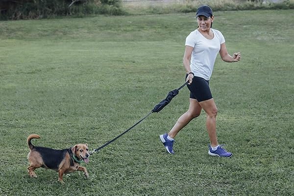 K-9 Poo Caddy K9 Poop and Treat Caddy for Dog Leashes Holds Poop Bags and Treats with Separate Pockets Ideal for Dog Owners - View 3 of 8