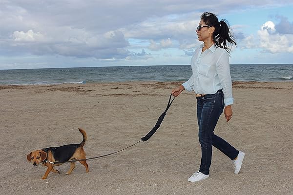 K-9 Poo Caddy K9 Poop and Treat Caddy for Dog Leashes Holds Poop Bags and Treats with Separate Pockets Ideal for Dog Owners - View 7 of 8