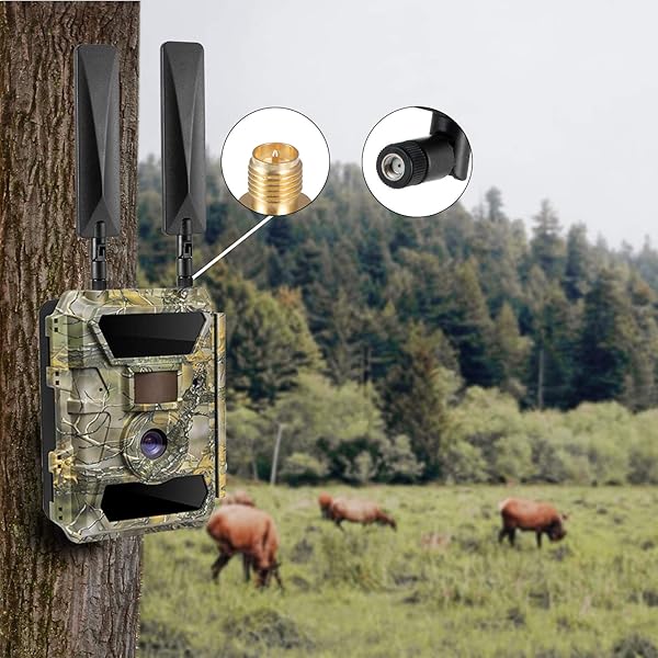 eifagur Eifagur 9dBi RP-SMA Male 4G LTE Antenna for Cellular Trail Cameras Compatible with Spypoint Tactacam Stealth Cam Pack of 2 - View 6 of 7