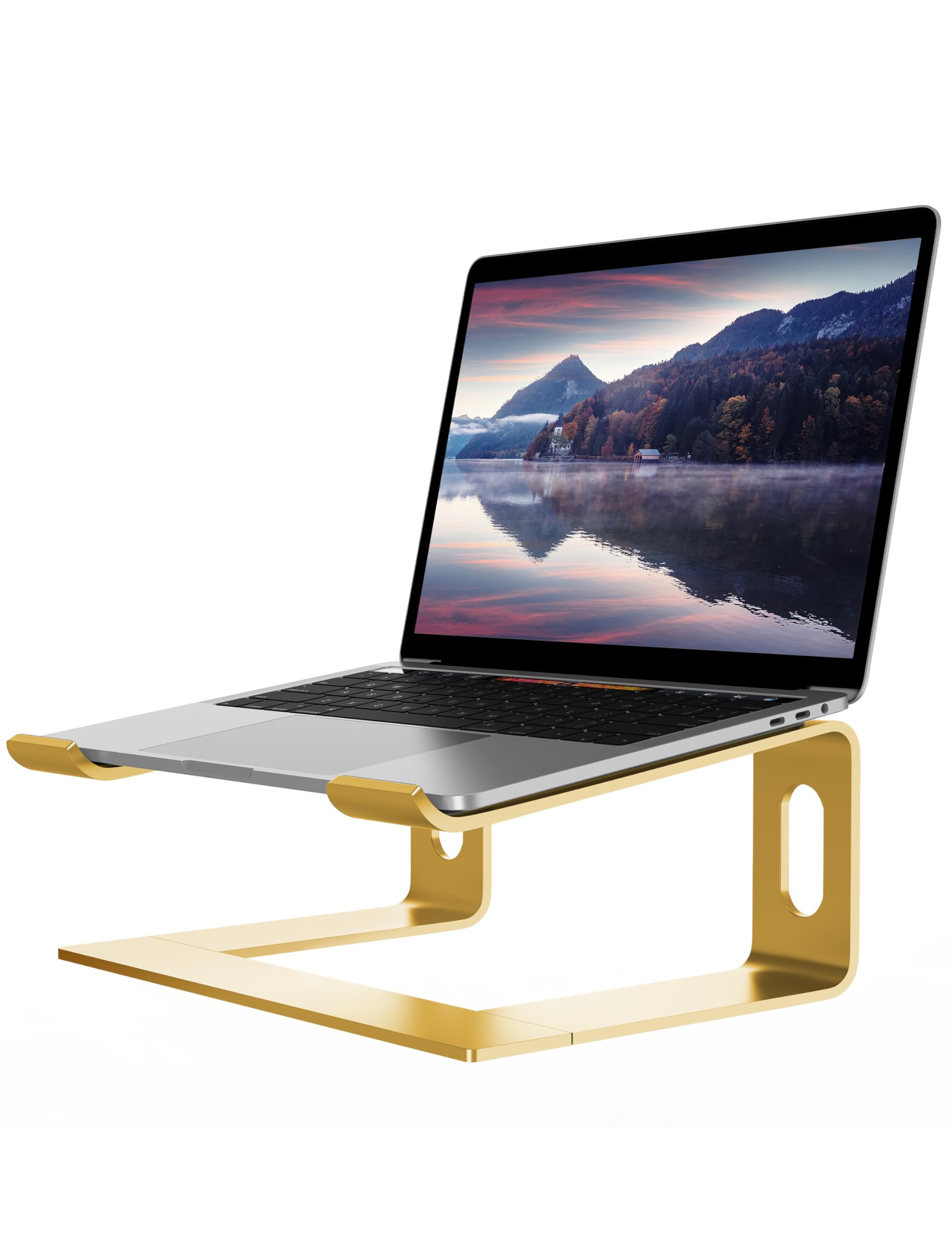 ALASHI ALASHI Laptop Stand for Desk Aluminum Computer Riser Ergonomic Notebook Holder Detachable Metal Elevator for 10 to 15.6 Inches Gold