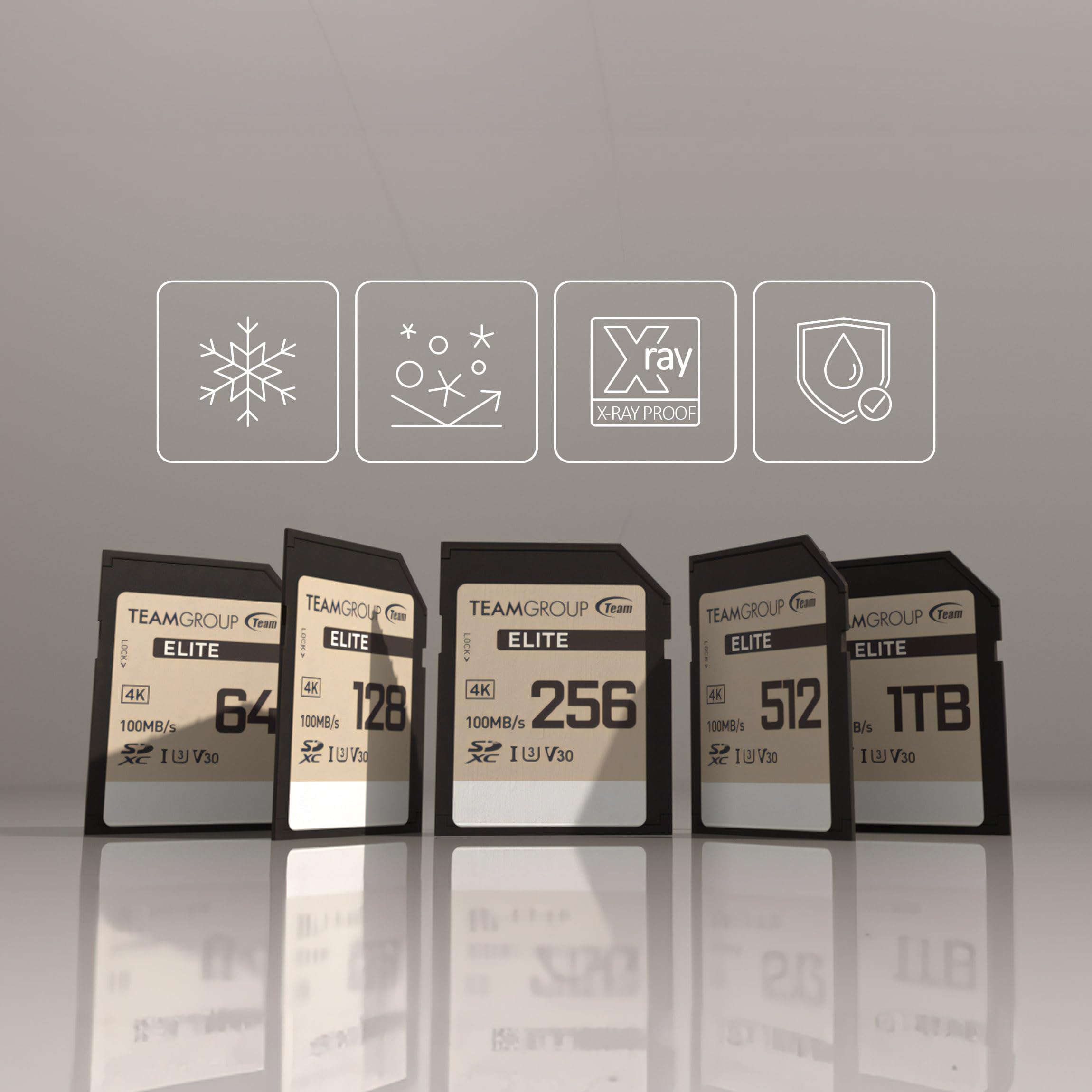 TEAMGROUP TEAMGROUP Elite 256GB UHS-I U3 V30 UHD 4K Memory Card for Canon Sony Nikon Panasonic FUJIFILM Digital Cameras High Speed 100MB/s - View 4 of 5