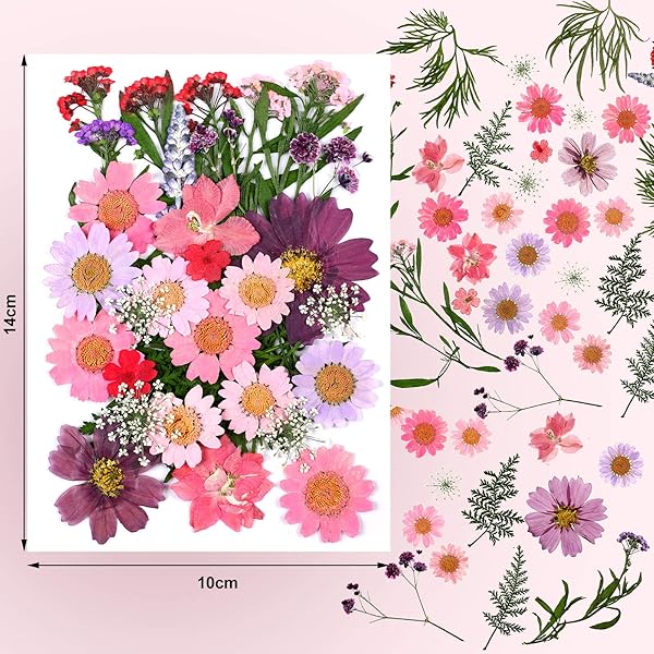 Nuanchu Dried Pressed Flower and Butterfly Sticker Set for DIY Decoration with Box and Tweezers Bright Series - View 2 of 7