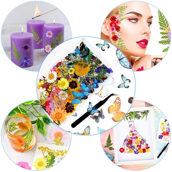 Nuanchu Dried Pressed Flower and Butterfly Sticker Set for DIY Decoration with Box and Tweezers Bright Series - View 3 of 7