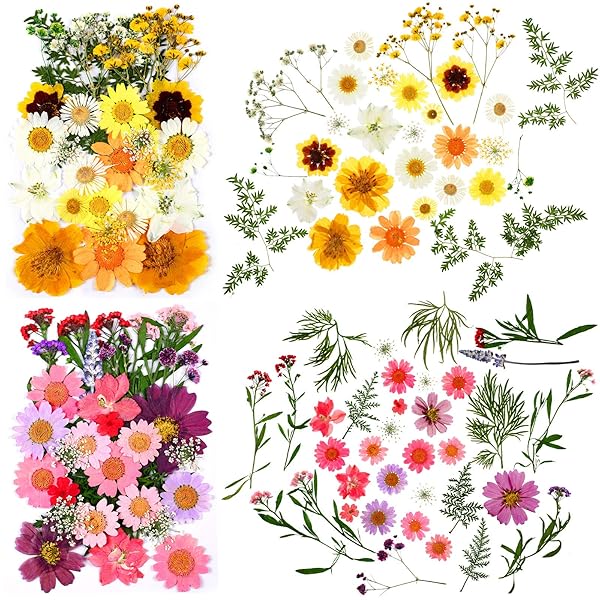 Nuanchu Dried Pressed Flower and Butterfly Sticker Set for DIY Decoration with Box and Tweezers Bright Series - View 4 of 7