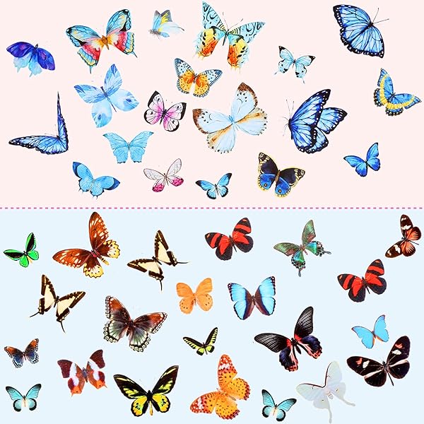 Nuanchu Dried Pressed Flower and Butterfly Sticker Set for DIY Decoration with Box and Tweezers Bright Series - View 5 of 7