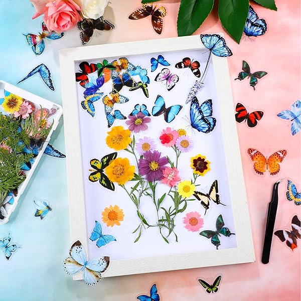 Nuanchu Dried Pressed Flower and Butterfly Sticker Set for DIY Decoration with Box and Tweezers Bright Series - View 6 of 7