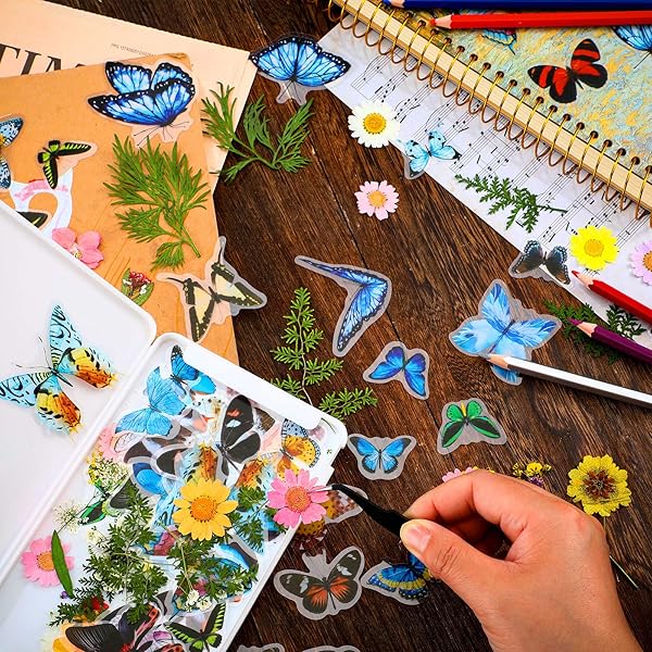 Nuanchu Dried Pressed Flower and Butterfly Sticker Set for DIY Decoration with Box and Tweezers Bright Series - View 7 of 7