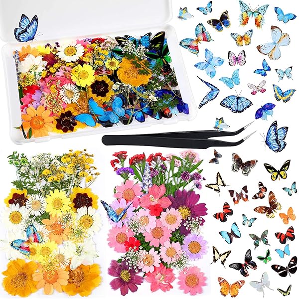 Dried Pressed Flower and Butterfly Sticker Set for DIY Decoration with Box and Tweezers Bright Series