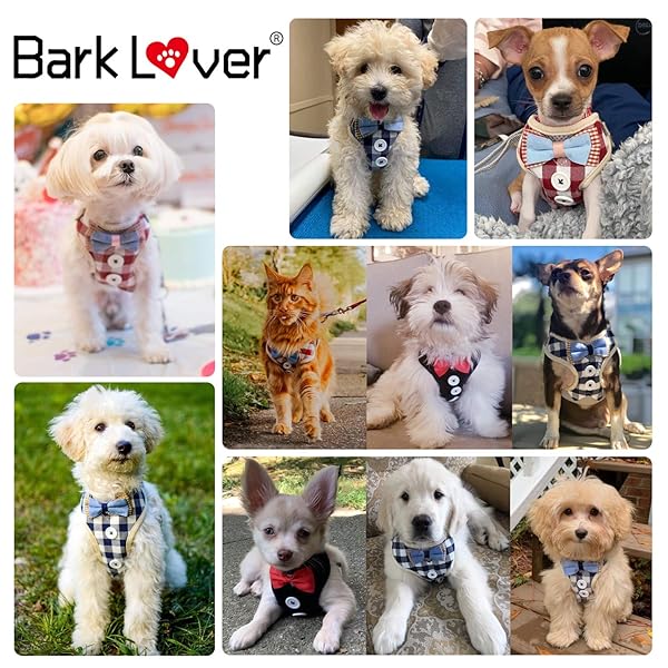 Bark Lover Bark Lover Small Puppy Harness with Bowtie Adjustable Dog Vest Mesh Tuxedo for Small Dogs and Kittens Perfect for Parties Weddings and Holidays - View 7 of 8