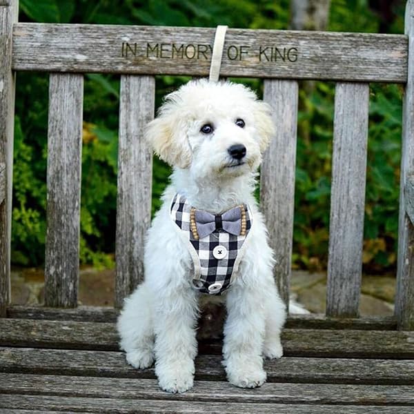 Bark Lover Bark Lover Small Puppy Harness with Bowtie Adjustable Dog Vest Mesh Tuxedo for Small Dogs and Kittens Perfect for Parties Weddings and Holidays - View 8 of 8