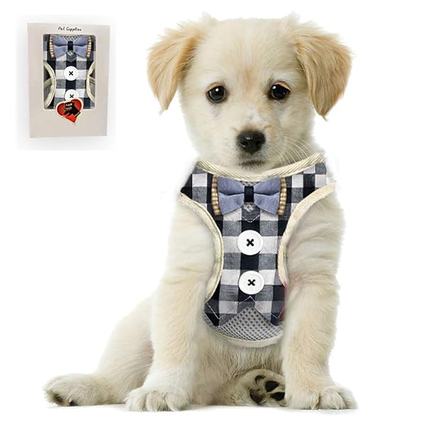 Bark Lover Bark Lover Small Puppy Harness with Bowtie Adjustable Dog Vest Mesh Tuxedo for Small Dogs and Kittens Perfect for Parties Weddings and Holidays