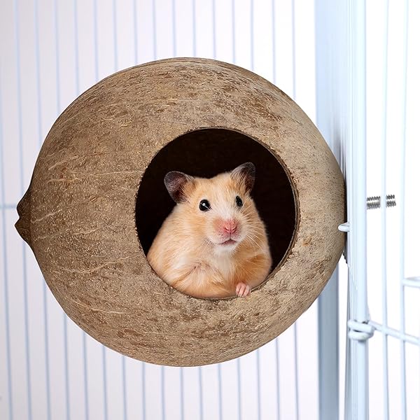 balacoo Coconut Shell Bird Nest Natural Warm House Hut for Parrots and Parakeets Ideal Pet Cage Accessory - View 3 of 10