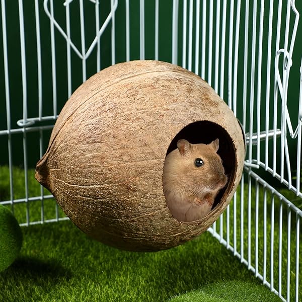 balacoo Coconut Shell Bird Nest Natural Warm House Hut for Parrots and Parakeets Ideal Pet Cage Accessory - View 8 of 10