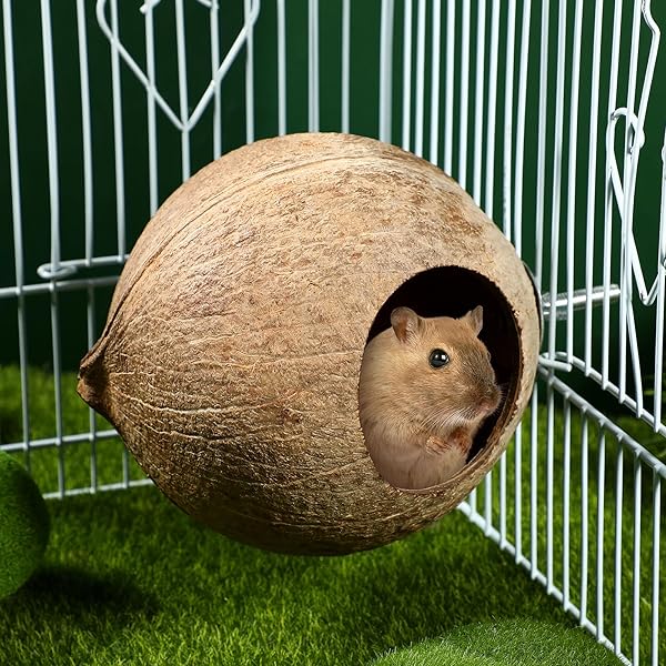 balacoo Coconut Shell Bird Nest Natural Warm House Hut for Parrots and Parakeets Ideal Pet Cage Accessory - View 10 of 10