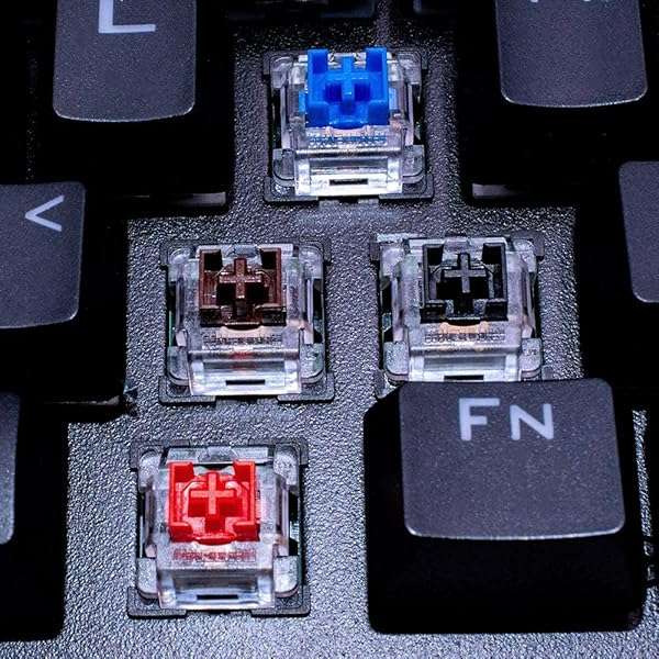 Granvela OUTEMU Blue Switches 3-Pin Tactile Clicky - 20 Pack for Mechanical Keyboards with Switch Puller - Gateron & Cherry MX Equivalent - View 7 of 7