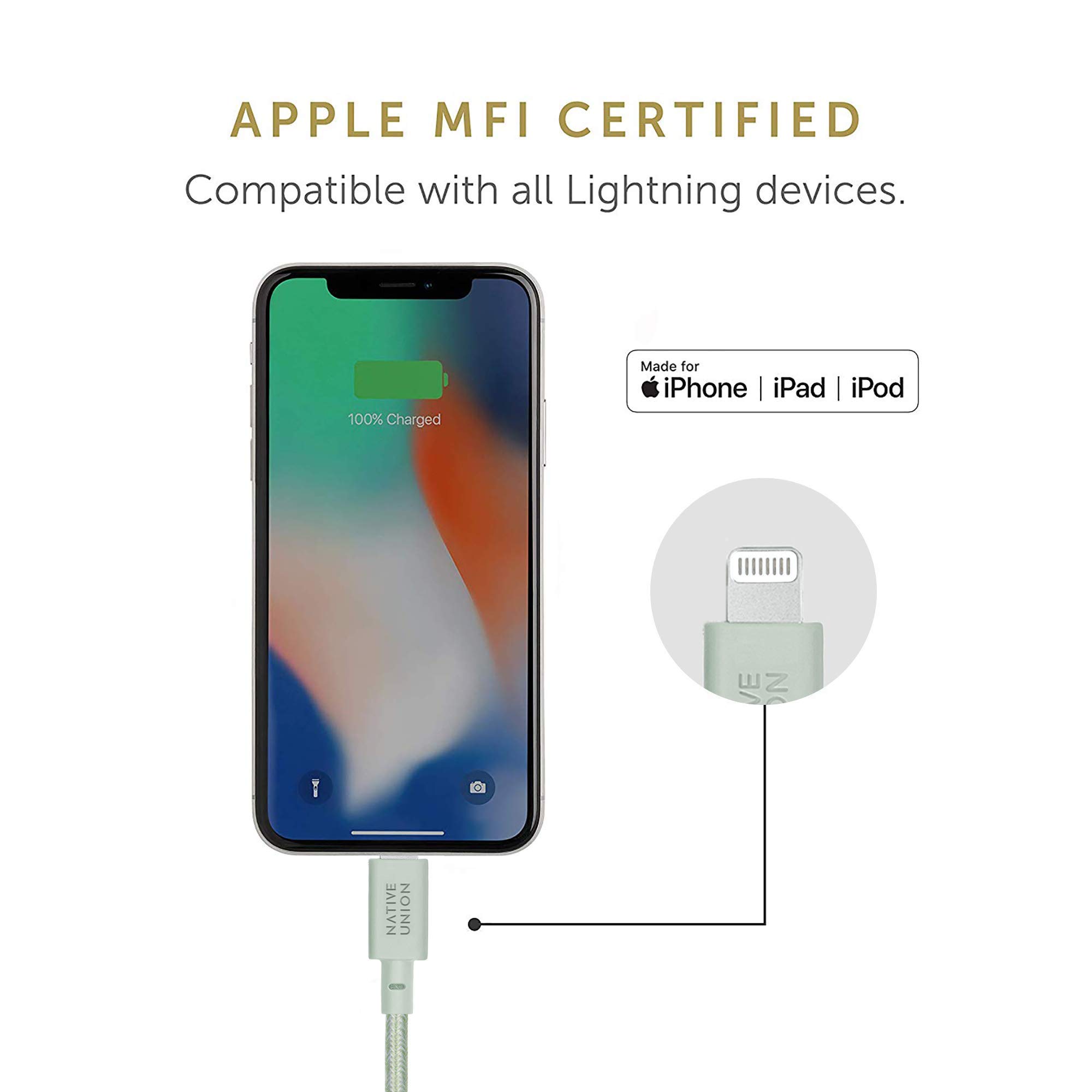 Native Union Native Union Belt Cable USB-C to Lightning 10ft Ultra-Strong Reinforced MFi Certified for iPhone 14 13 and Earlier Sage - View 6 of 7