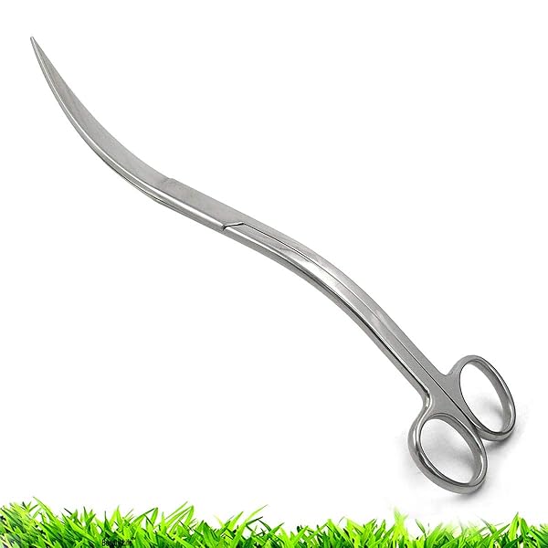RLECS RLECS 9.8 Inch Stainless Steel Aquarium Scissors and Sand Leveler for Aquatic Plant Care and Fish Tank Landscaping Tools - View 6 of 6
