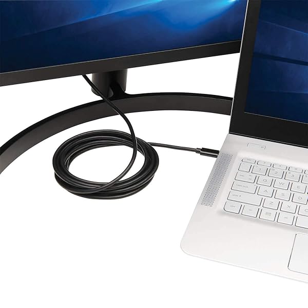 TRIPP LITE Tripp Lite USB C to DisplayPort Adapter Cable 10ft Bi-Directional 4K M/M for High-Quality Video Connection - View 3 of 10