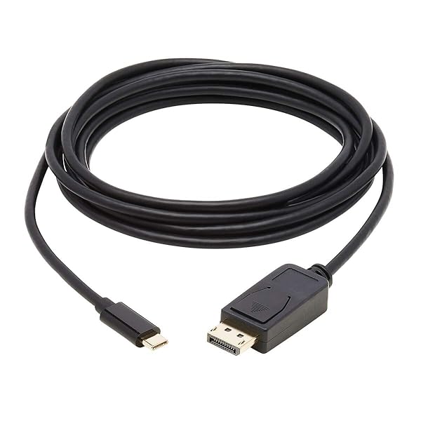 TRIPP LITE Tripp Lite USB C to DisplayPort Adapter Cable 10ft Bi-Directional 4K M/M for High-Quality Video Connection - View 4 of 10