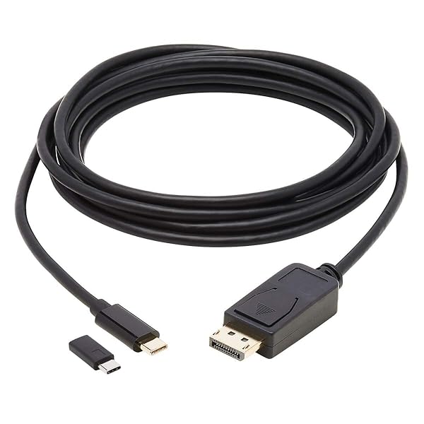 TRIPP LITE Tripp Lite USB C to DisplayPort Adapter Cable 10ft Bi-Directional 4K M/M for High-Quality Video Connection - View 9 of 10