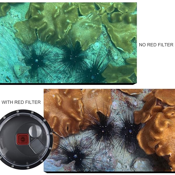 GEPULY GEPULY Dome Port Lens for GoPro Hero 5/6/7: Waterproof Case, Red Filter & Macro Filter Included - View 5 of 10