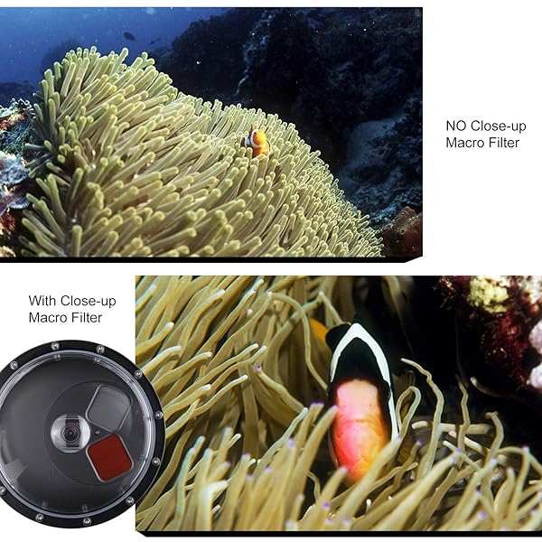 GEPULY GEPULY Dome Port Lens for GoPro Hero 5/6/7: Waterproof Case, Red Filter & Macro Filter Included - View 6 of 10