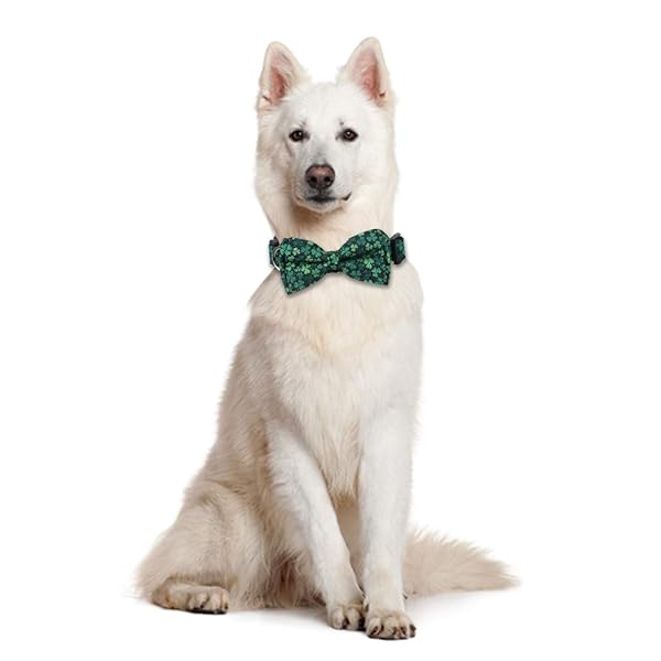 Lamphyface St Patrick's Day Dog Collar with Removable Bow Tie Adjustable for Medium Pets - View 5 of 5