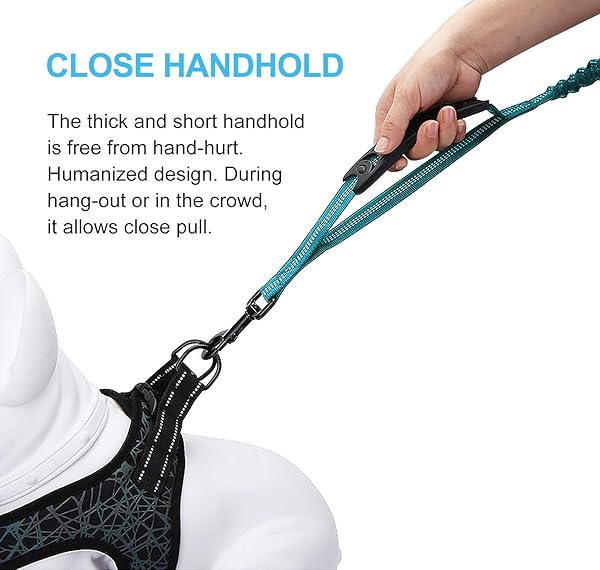 LEADSOM LEADSOM 6FT Reflective Heavy Duty Elastic Dog Leash with Padded Handle for Medium and Large Dogs Ideal for Training and Comfort - View 5 of 8